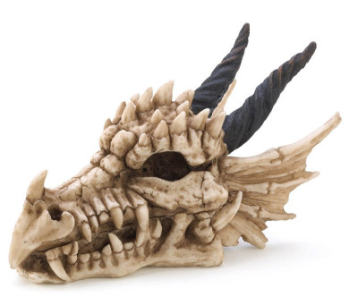 Snarling Magical Dragon Skull Treasure Trinket Box