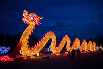 Dragon Lights Festival, Knoxville, Tennessee